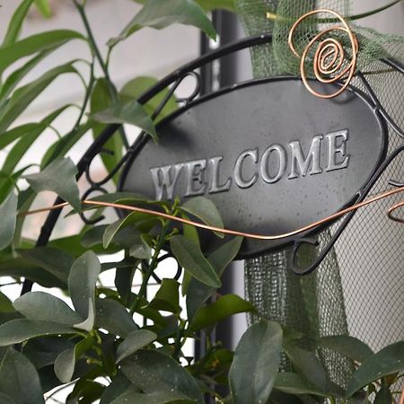 Hotel Alfredo'S Римини Экстерьер фото