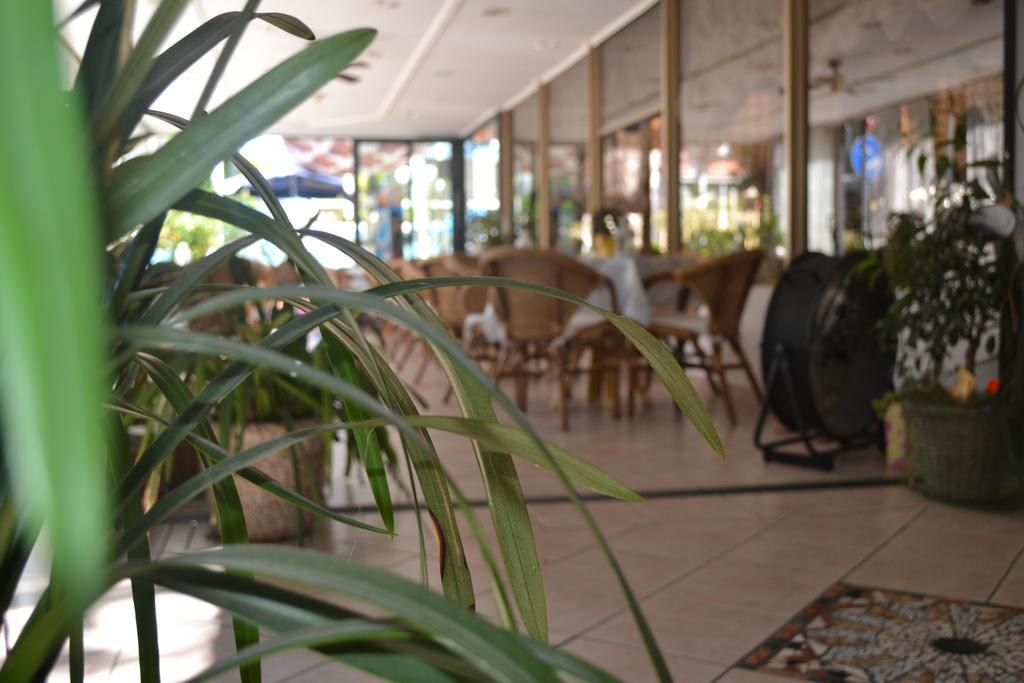 Hotel Alfredo'S Римини Экстерьер фото